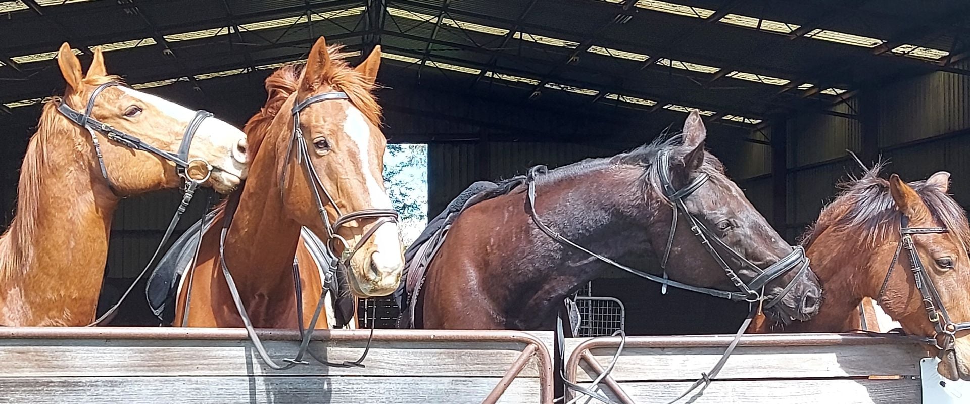 Hopoti Ranges Equestrian Centre