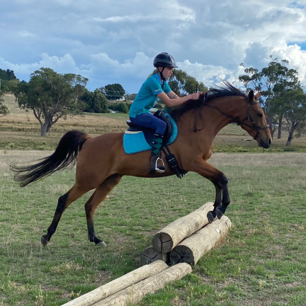 Hopoti - Barossa Boy