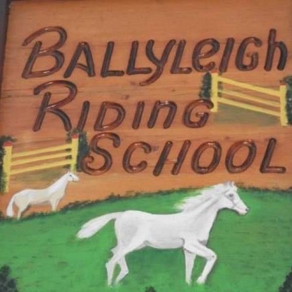 Hopoti Ballyleigh Riding School Book your riding lessons